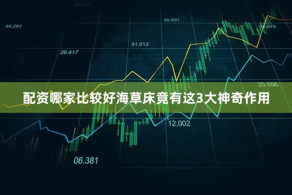 配资哪家比较好海草床竟有这3大神奇作用