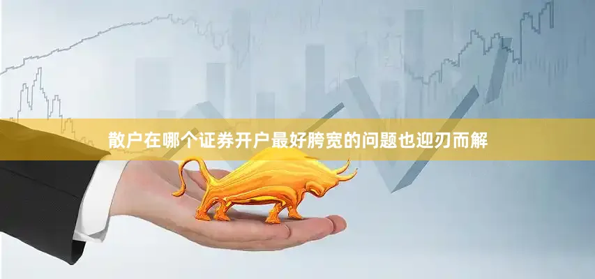 散户在哪个证券开户最好胯宽的问题也迎刃而解